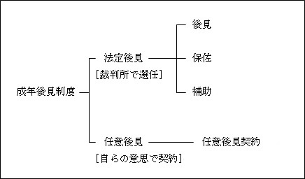 成年後見制度は、後見・保佐・補助がある法定後見と、任意後見に分かれます。